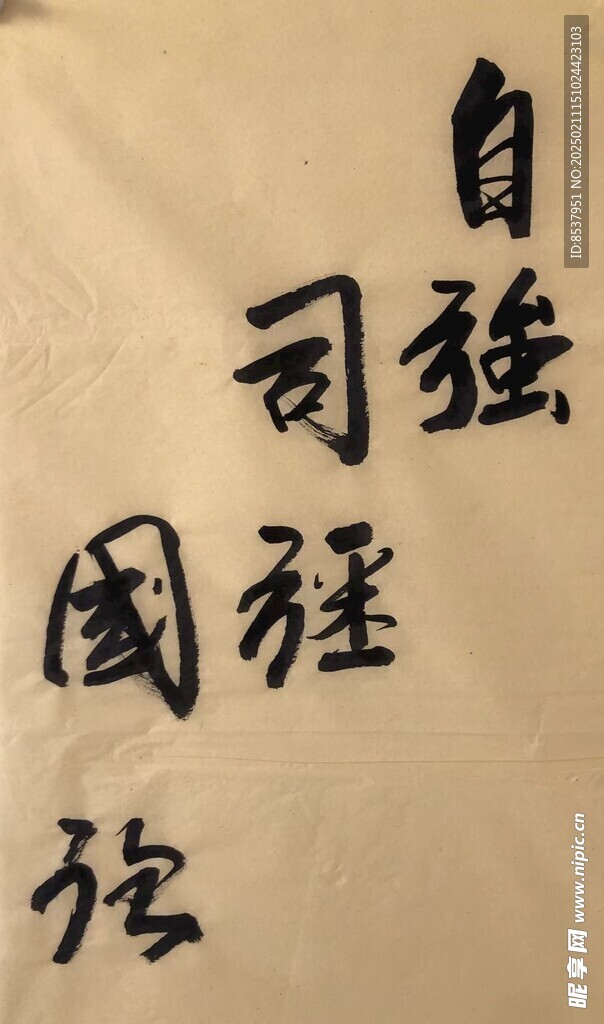 自强司强