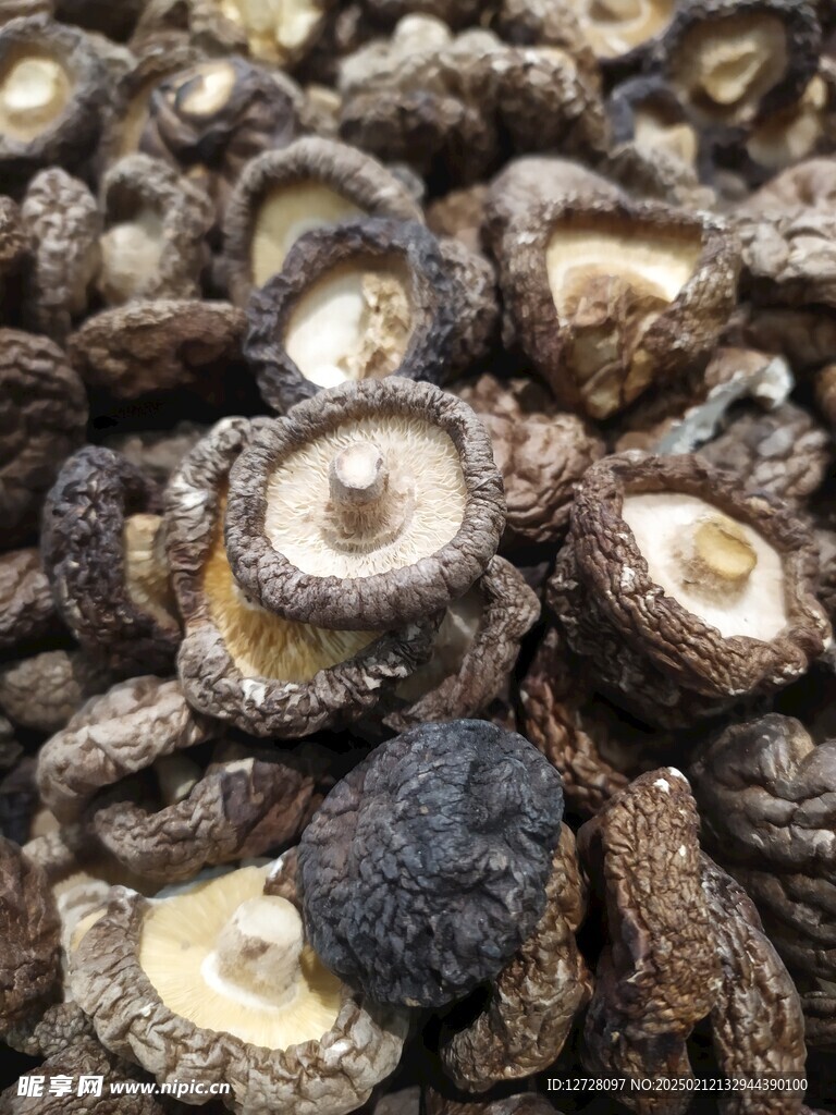 干香菇