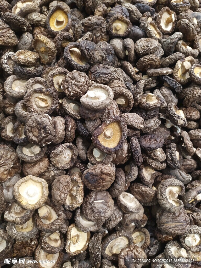 干香菇 