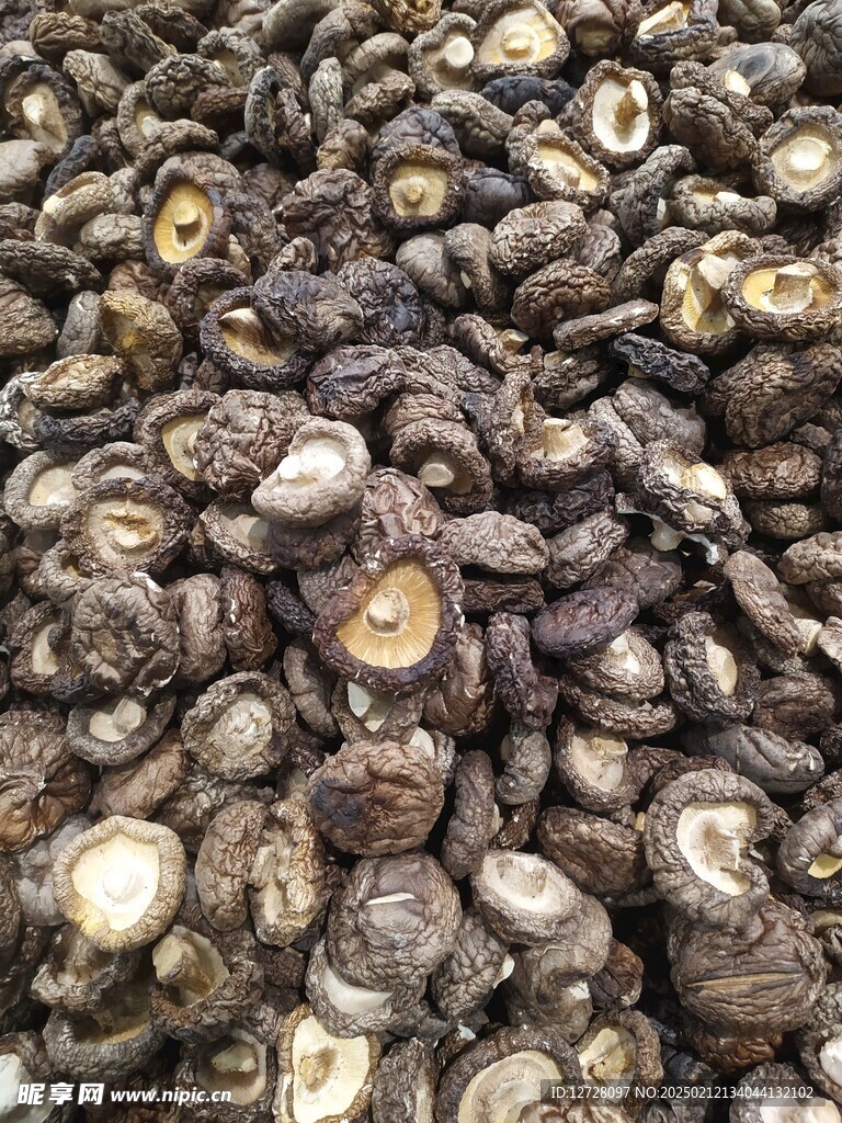干香菇 