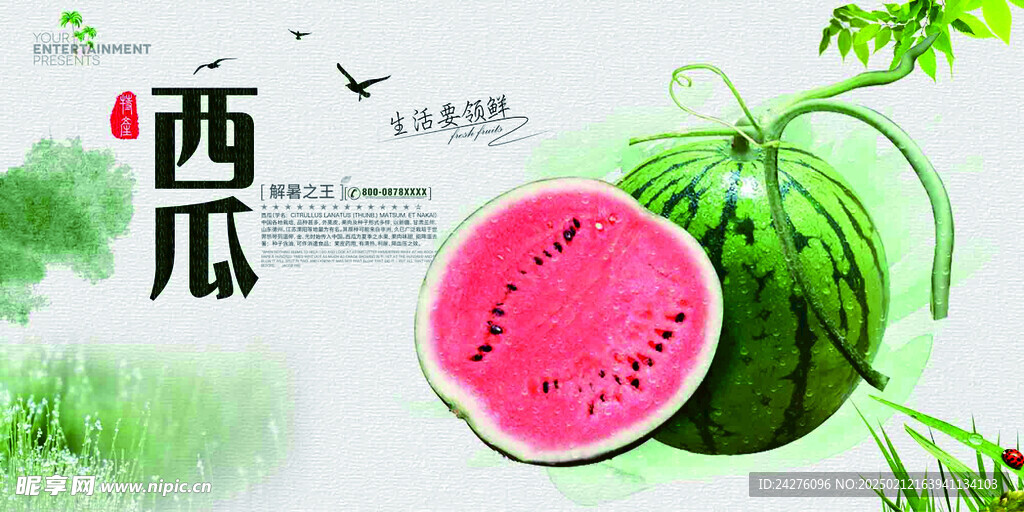 西瓜海报