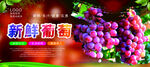 葡萄海报