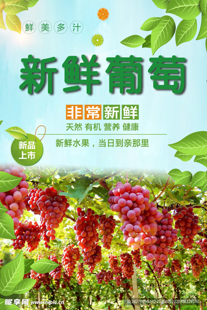 新鲜葡萄海报