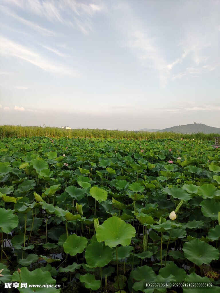 管社山庄