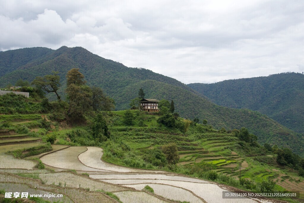 梯田图片