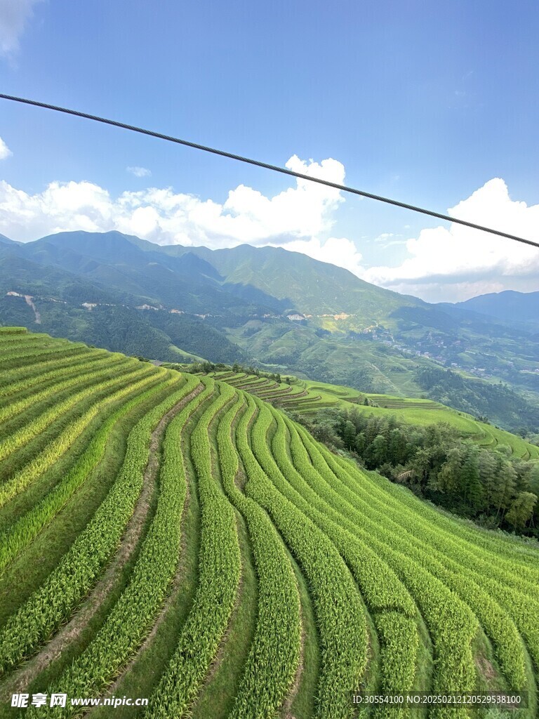 梯田图片