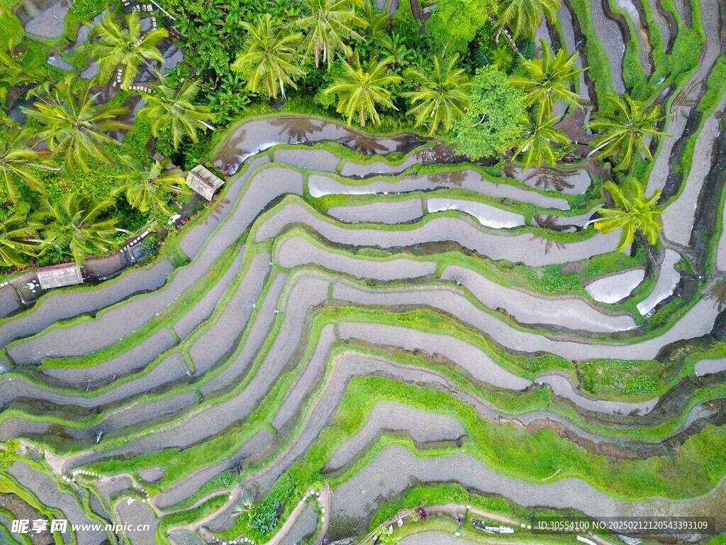 梯田图片 