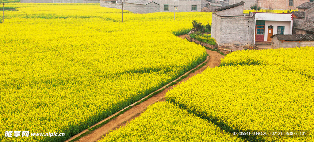 梯田图片