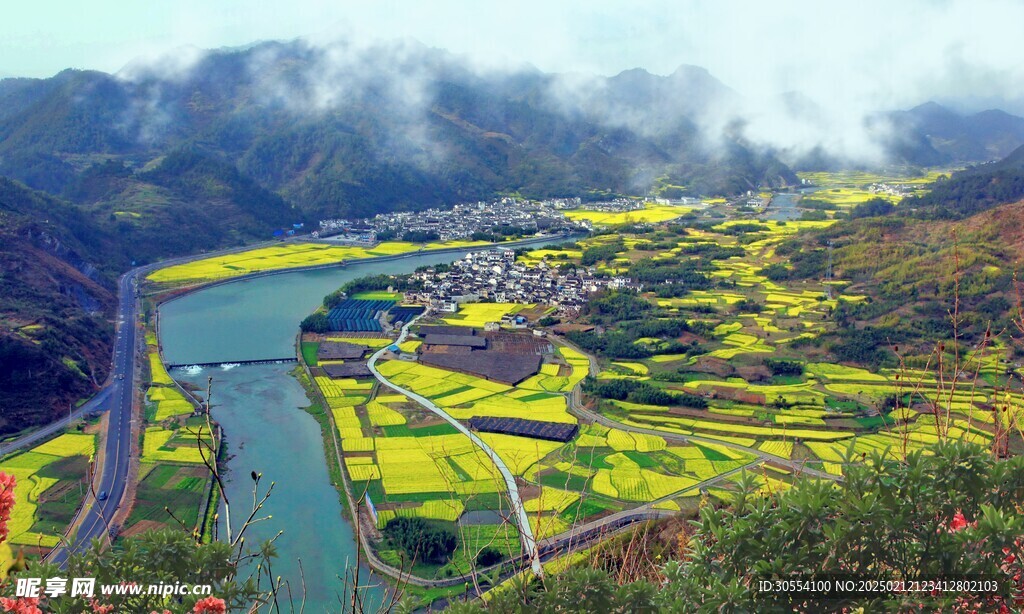 梯田和树林图片 