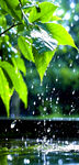下雨