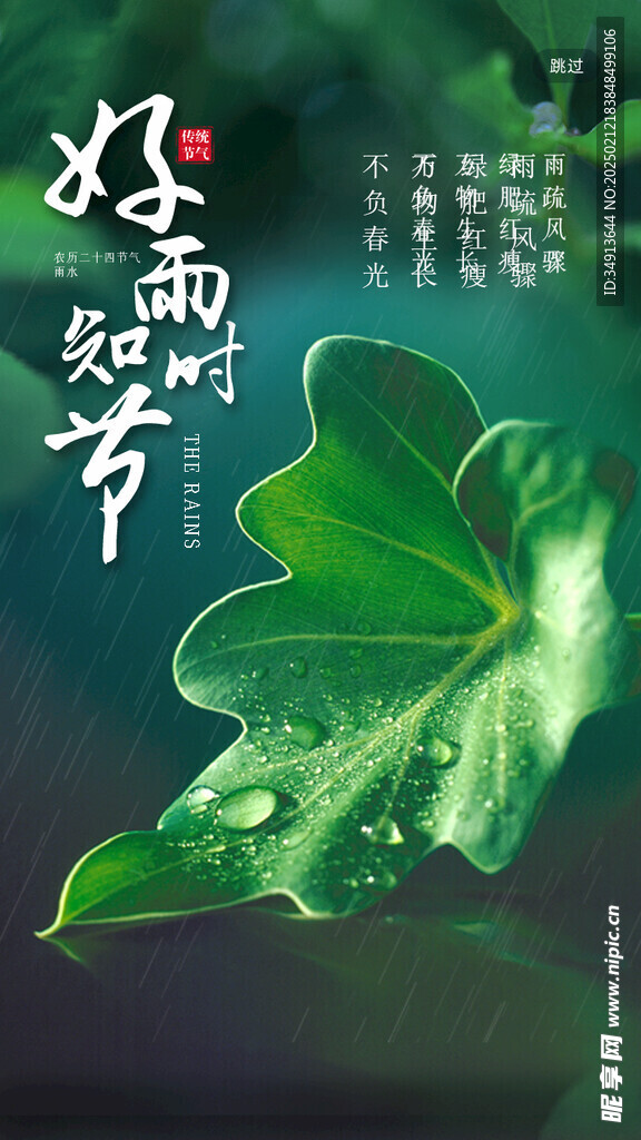 雨水海报