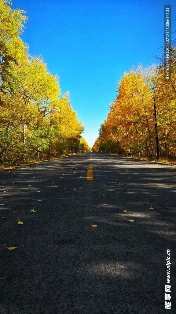 路