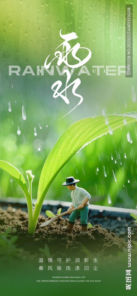 雨水