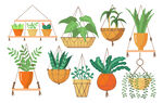 盆栽绿植吊兰卡通插画