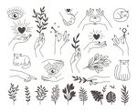 线描手绘花卉宠物插画