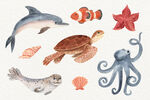 水彩手绘海洋生物插画
