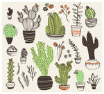 手绘绿植仙人掌矢量插画