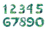 手绘绿植插画数字元素