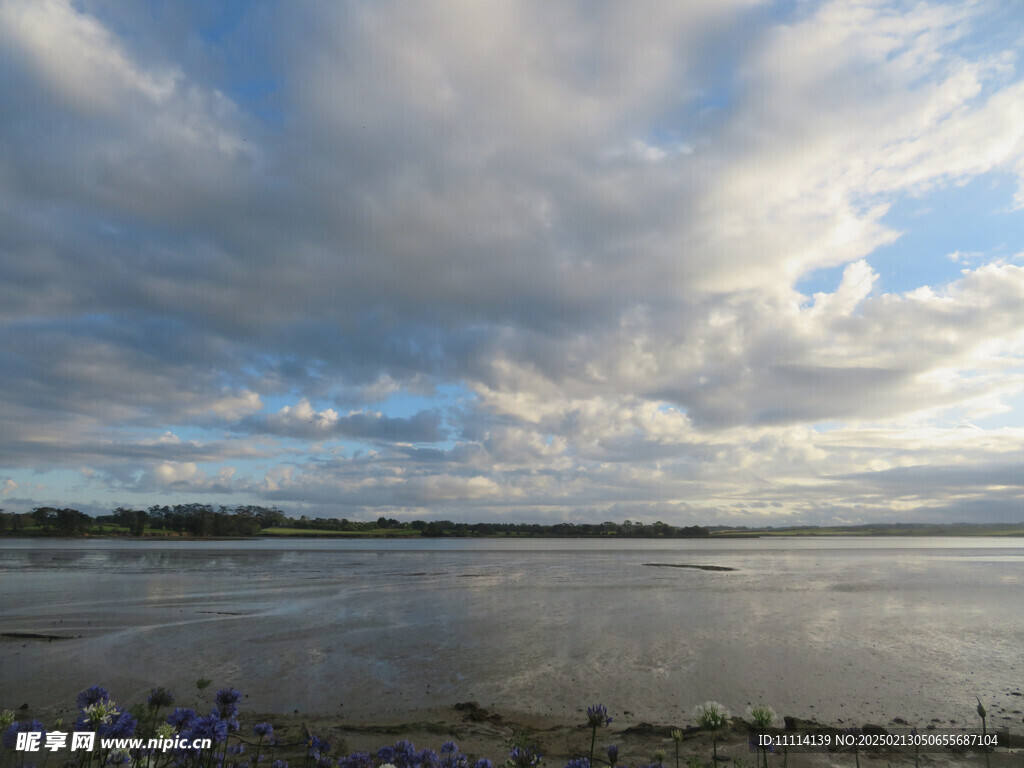 奥克兰海边风景