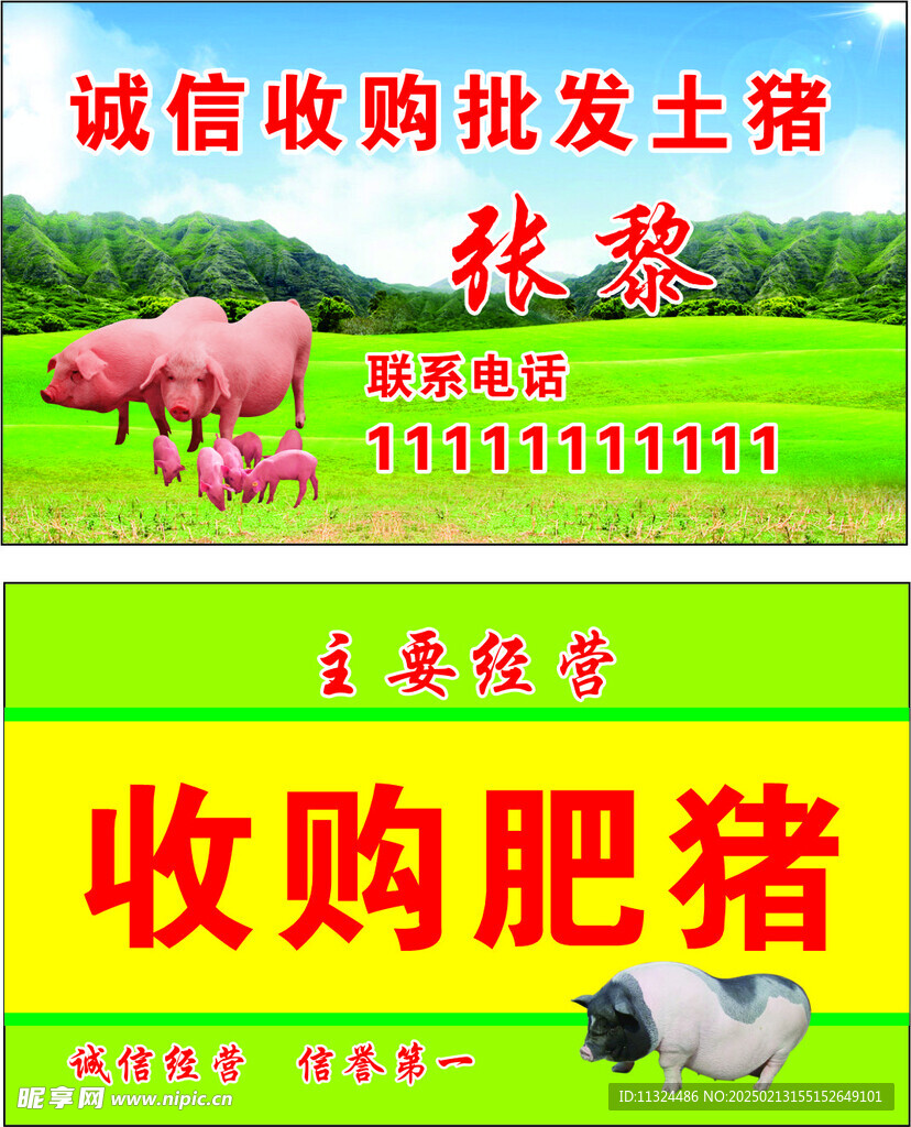 猪名片  猪卡片