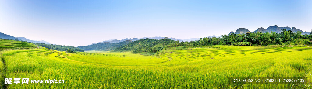 草原
