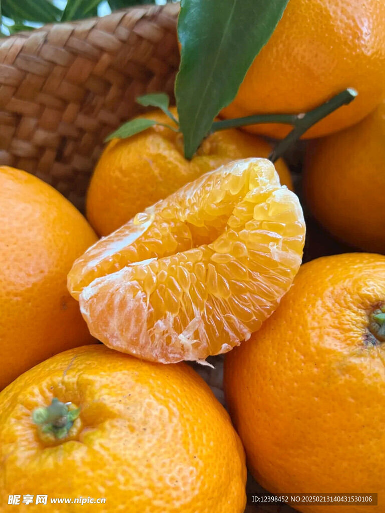 耙耙柑