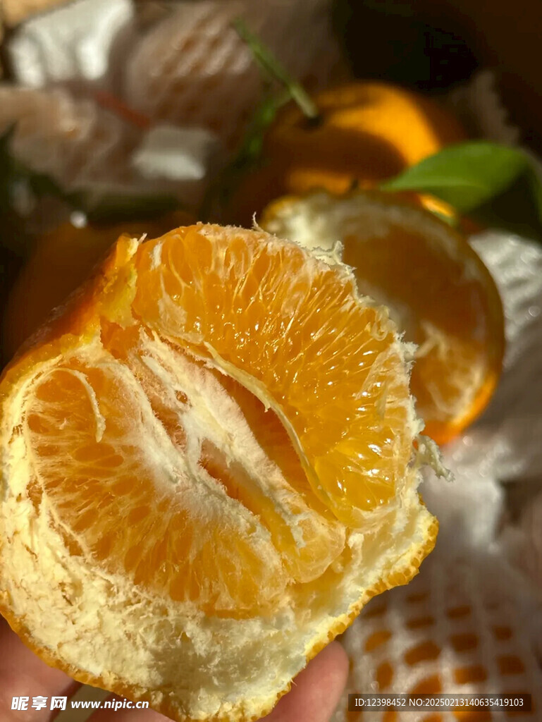 耙耙柑