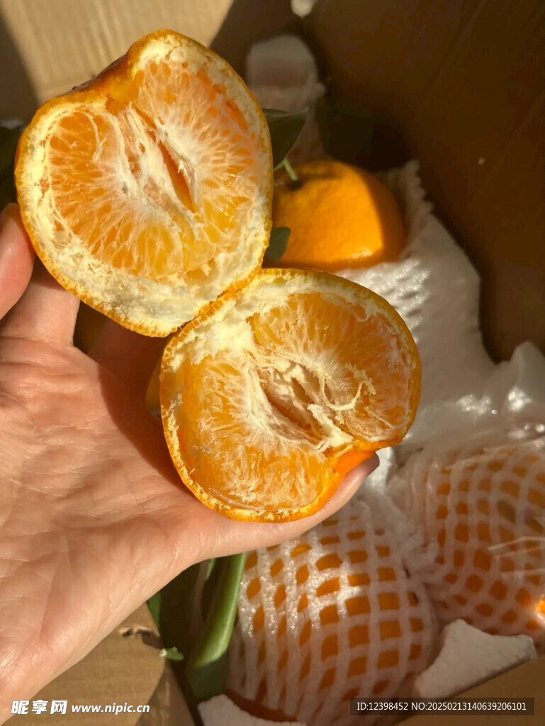 耙耙柑