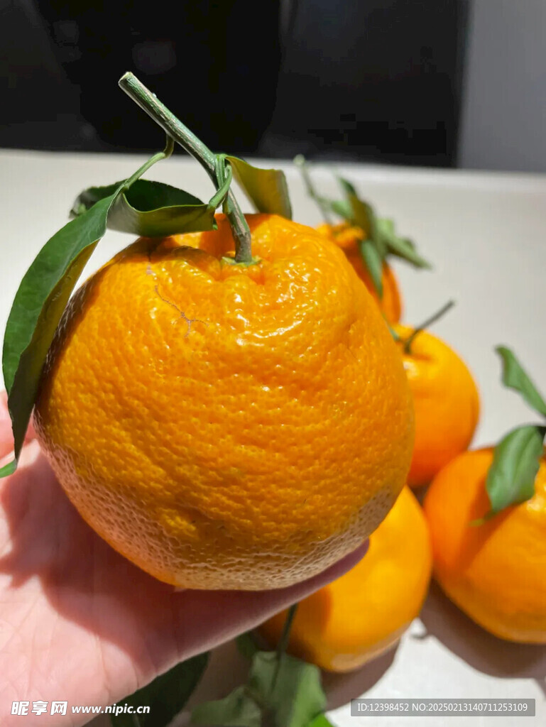 耙耙柑