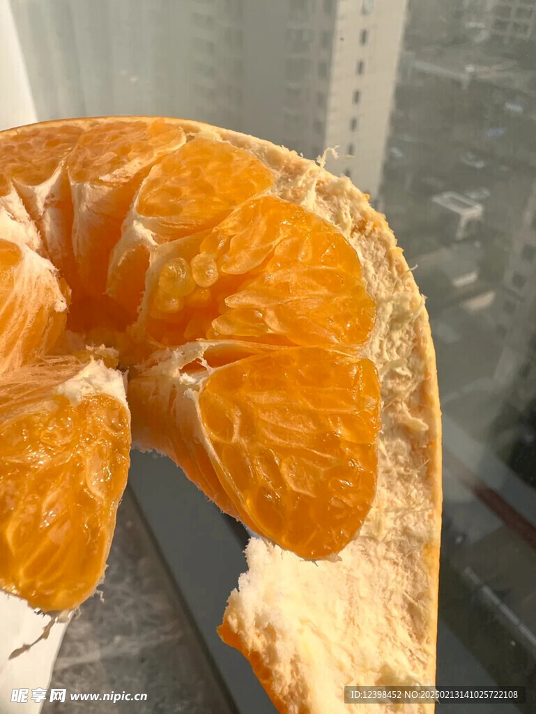 耙耙柑