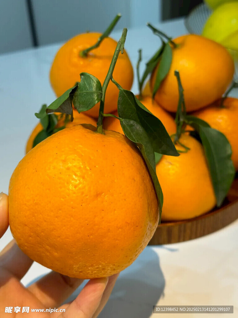 耙耙柑