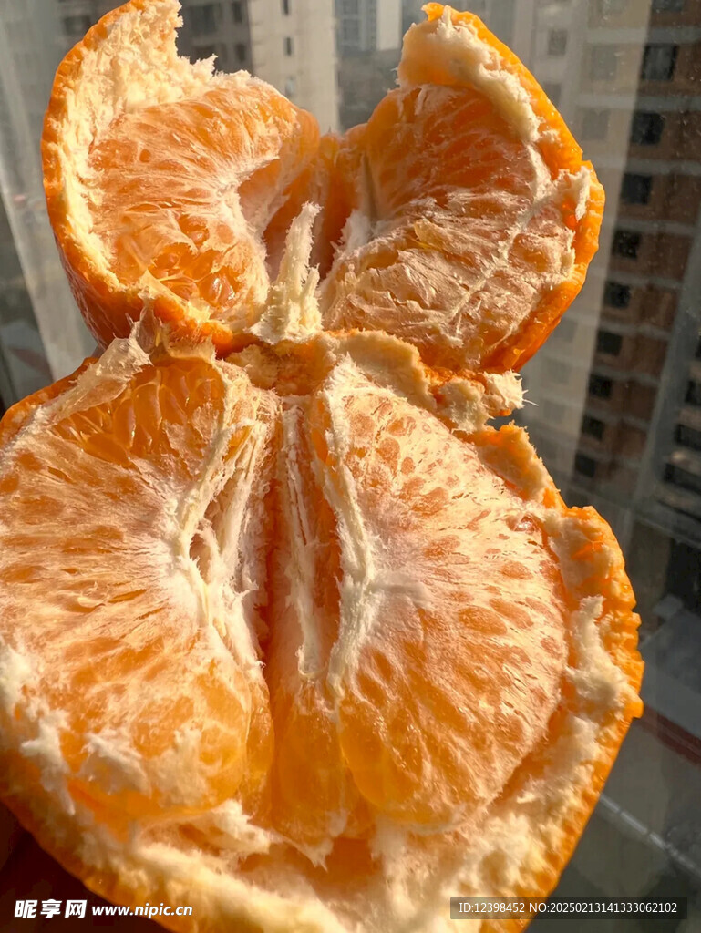 耙耙柑
