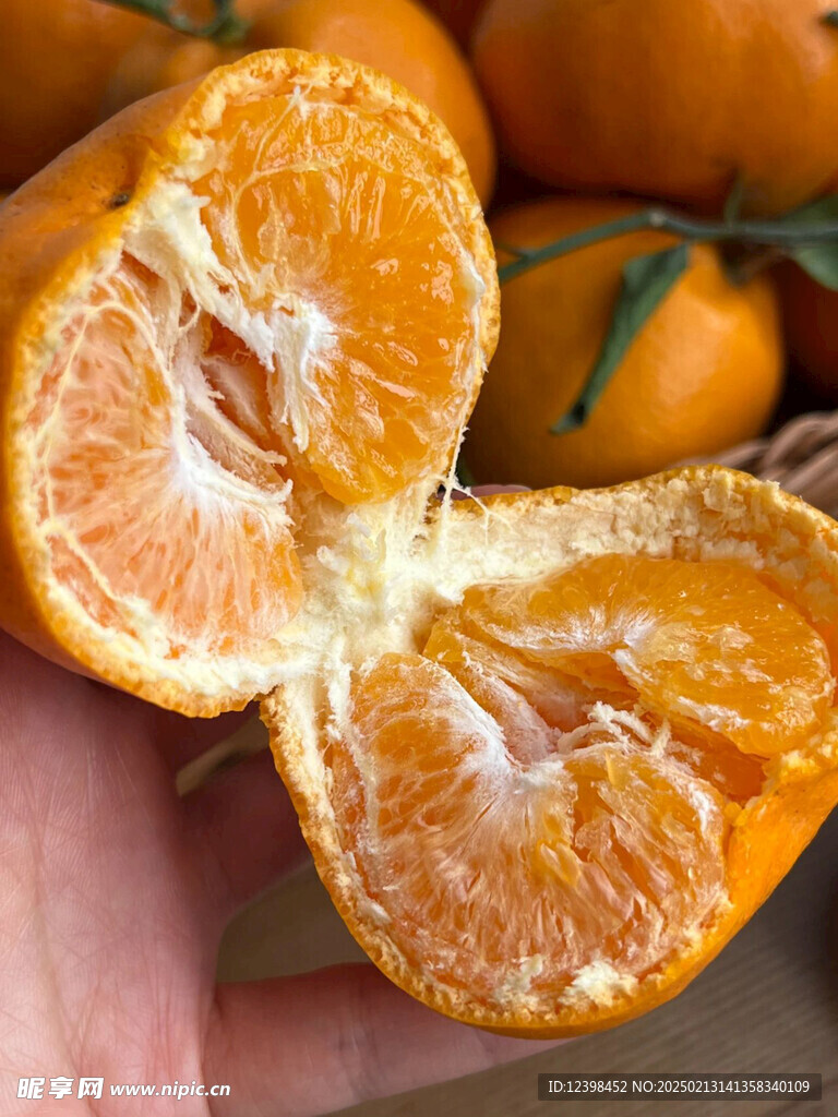 耙耙柑