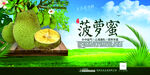 菠萝蜜海报