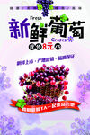 新鲜葡萄海报