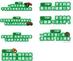灵芝 展板 手举牌  健康  