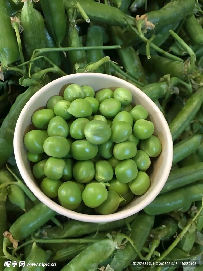 豌豆荚