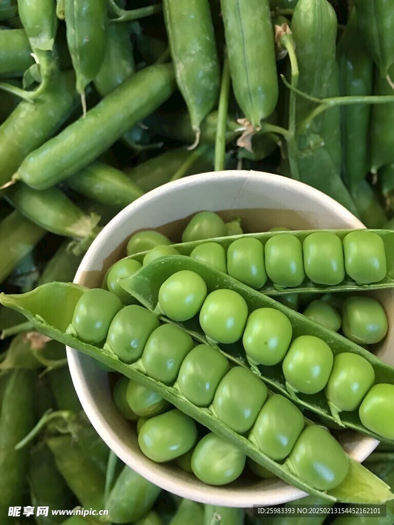 豌豆荚