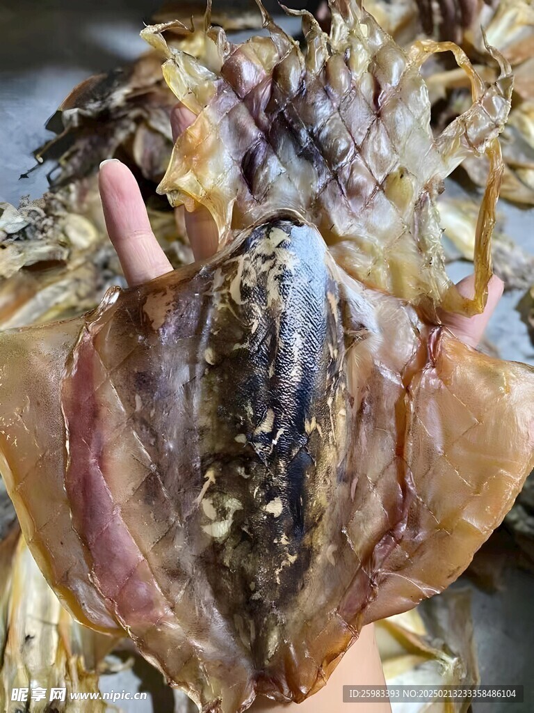 墨鱼干