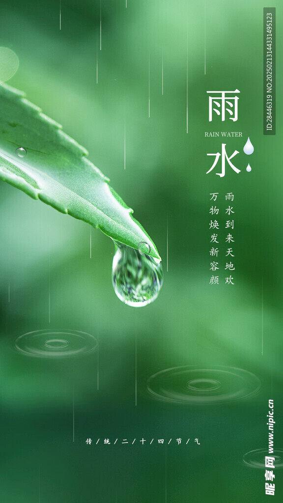 雨水海报