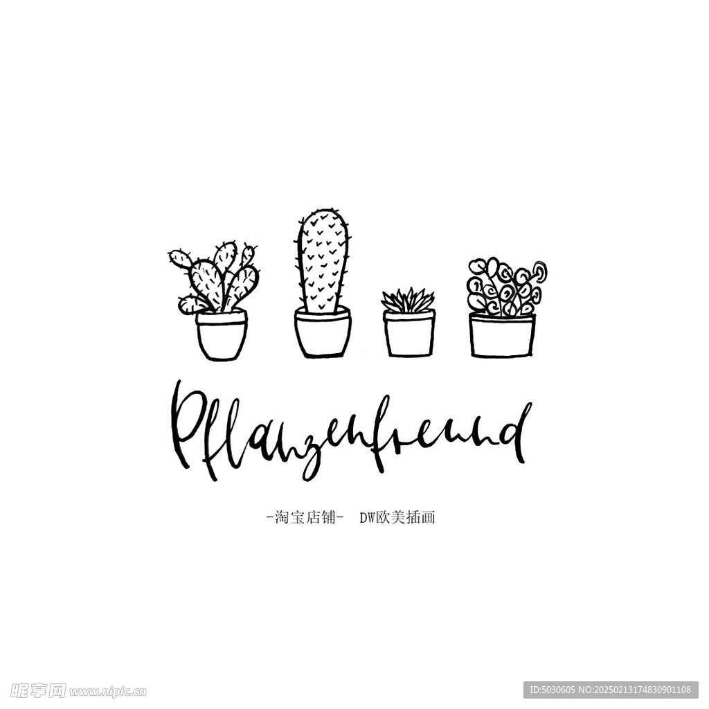 线条仙人掌植物