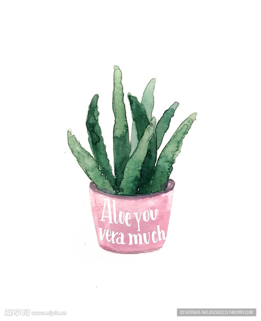 水彩植物