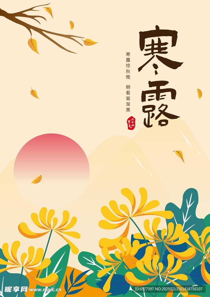 寒露 菊花 中秋  重阳 