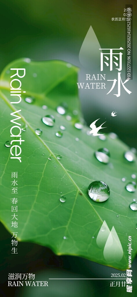 雨水海报           