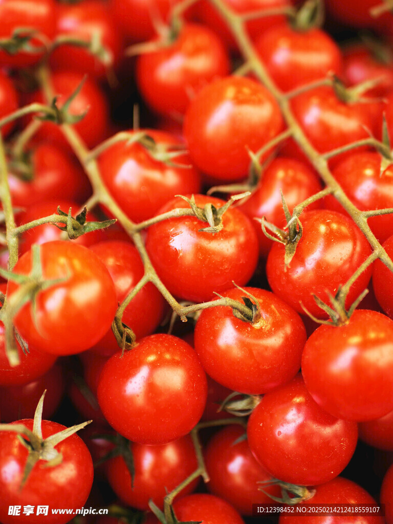 番茄