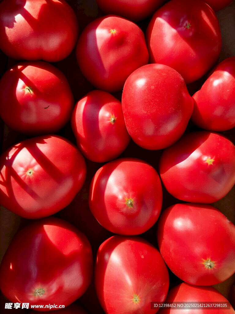 番茄