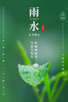 雨水海报