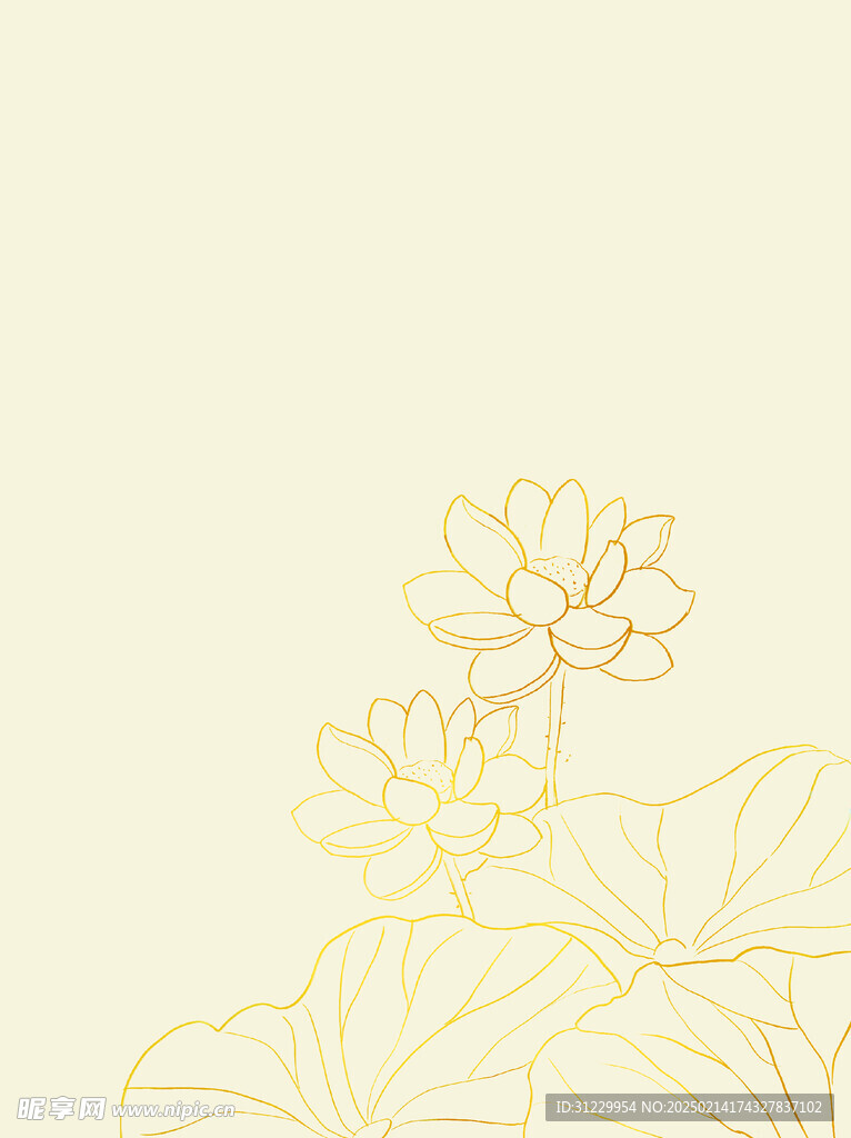 金色荷花 