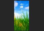 小满