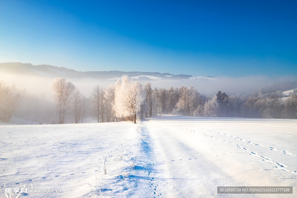 森林雪景